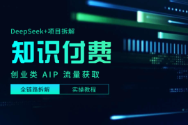 DeepSeek+项目拆解做知识付费创业类 AIP，全链路实操教程