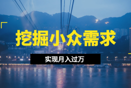中年困惑，深度挖掘小众的需求实现月入过万【图文】