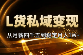 从月薪四千五到稳定月入1W+，L货私域变现模式拆解【图文】