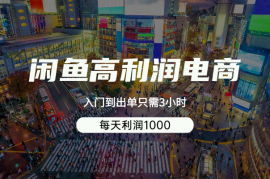 闲鱼高利润电商，入门到出单只需3小时，每天利润1000
