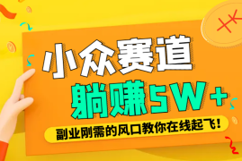 复盘我是如何找到几个躺赚5W+小众赛道的【图文】