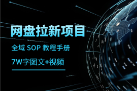 网盘拉新项目全域 SOP 教程手册【真·保姆级·7w字+图文+视频】