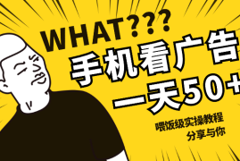 手机视频广告收益小副业项目，单机一天收入50+，喂饭级实操教程分享与你【图文】