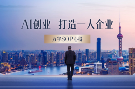 AI创业一年，成功打造一人企业，拥有睡后收入，附万字SOP心得