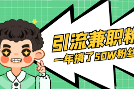 入局兼职粉赛道一年多，搞了五十万公众号粉，我是怎么做到的？【图文】