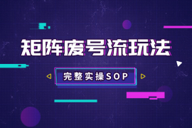 用矩阵废号流玩法，在小红薯获客，完整实操SOP分享