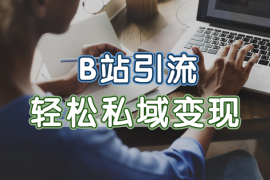 B站引流创业粉，PPT玩法和分享课玩法，轻松引流私域变现