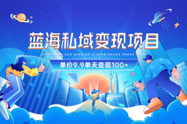 蓝海私域变现项目，单价9.9/单天变现100+，实操玩法分享