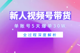 新人入局视频号口播带货 25天，单账号5天爆单30W，全过程深度解析【图文】