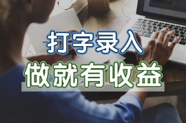 打字录入正规平台，做就有收益，新手小白也能轻松上手