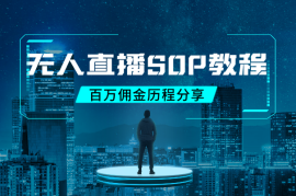 无人直播，破百万佣金历程分享，附保姆级SOP