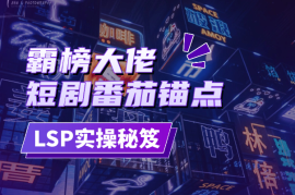 短剧番茄锚点霸榜大佬分享LSP运营实操秘笈