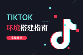 TK如何从0到1环境搭建指南，实操分享，即省钱又详细！