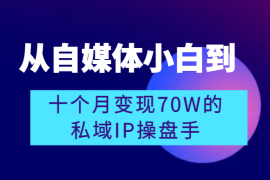 从自媒体小白到十个月变现70W的私域IP操盘手【图文】
