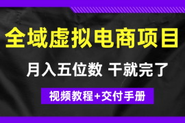 月入五位数 干就完了 适合小白的全域虚拟电商项目（视频教程+交付手册）