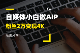 自媒体小白做AIP，41天全网粉丝2万，变现4K经验分享