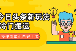 今日头条新玩法，冷门搬运，操作简单小白好上手