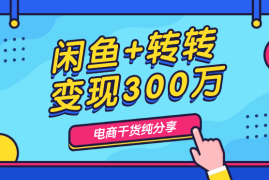 一年从0闲鱼+转转平台总变现300万实现在广州买房路程【图文】