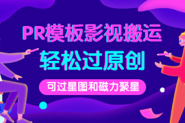PR模板影视搬运，简单操作即可过原创，可过星图和磁力聚星