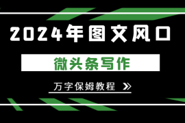 2024年图文风口，今日头条微头条写作，万字保姆教程【图文】