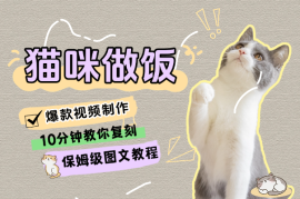10分钟教你复刻爆款猫咪做饭视频（保姆级图文教程）