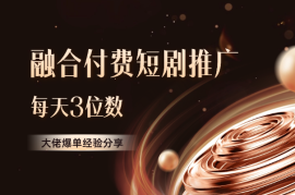 私董会大佬分享融合付费短剧推广爆单经验每天3位数