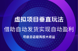 虚拟项目垂直玩法，借助自动发货软件，实现自动盈利