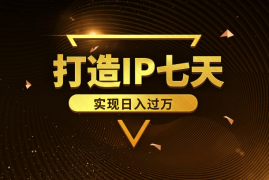 打造IP七天，实现日入过万，获得万次曝光的保姆级发售操盘精华【图文】