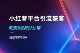 小红薯平台引流获客截流自热玩法讲解，日引客户300+