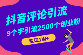 通过抖音评论区，9个字引流2500个创业粉，变现1W+【图文】