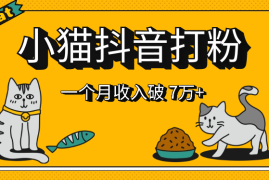 小猫抖音打粉，每单利润 5000+，一个月轻松收入破 70000+【图文】