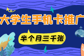 在校大学生如何搭建自己的团队，半个月推广出三千张手机卡【图文】