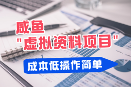 2025全新咸鱼虚拟资料项目，成本低，操作简单