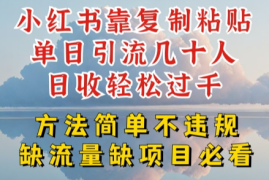 小红书靠复制粘贴单日引流几十人日收轻松过千，方法简单不违规