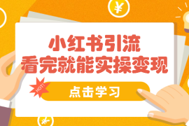 今天看完就能实操变现的小红书引流玩法【图文】