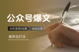 20天变现5位数，差异化打法助你突破公众号爆文项目瓶颈