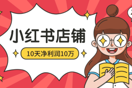上班族做出10天净利润10万的小红书店铺，我的心得思考【图文】