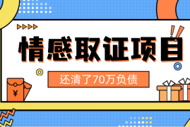 项目拆解：我靠情感取证项目还清了70万负债【图文】
