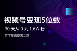 视频号30 天从 0 到 1.6W 粉，变现五位数，万字复盘逆袭之路