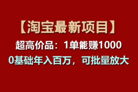 淘宝超高价品：1单赚1000多，0基础年入百万，可批量放大