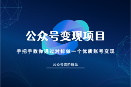 公众号变现项目，手把手教你通过对标做一个优质账号变现