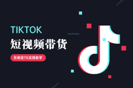 TikTok东南亚短视频带货，TK带货实操教学