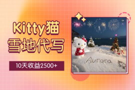 从零到一跑通 kitty 雪地代写，10天收益2500+