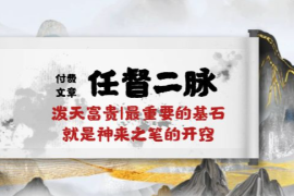 某付费文章《任督 二脉 泼天富贵|最重要的基石 就是神来之笔的开窍|万字》