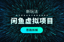闲鱼虚拟项目全新玩法，新手容易出单不需要任何技术