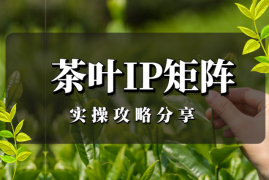 1个月内快速布局！做了30个小红书茶叶茶人IP矩阵号的实操攻略分享【图文】