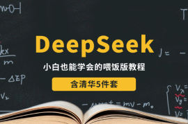 喂饭版！小白也能学会的deepseek教程，含清华5件套