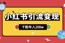 小红书引流变现｜1个千粉小红书账号年入200w【图文】