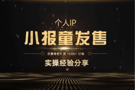 IP 发售：付费专栏 9 天 1500+ 订阅，实操经验分享