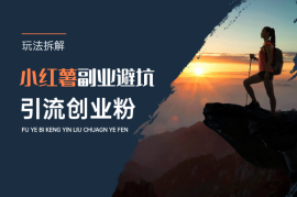 小红薯副业避坑文案，副业创业粉流量玩法拆解